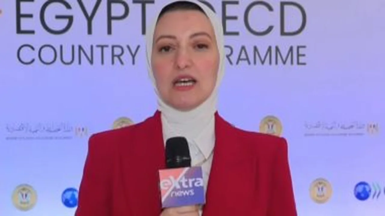 أبرز فعاليات ختام البرنامج القطري لتعاون مصر مع منظمة التعاون الاقتصادي
